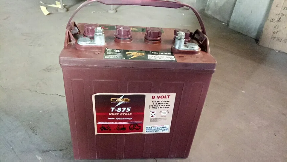 Bateria Tubular de Ciclo Profundo Trojan Substituir T875 8V 170ah para Carrinho de Golfe