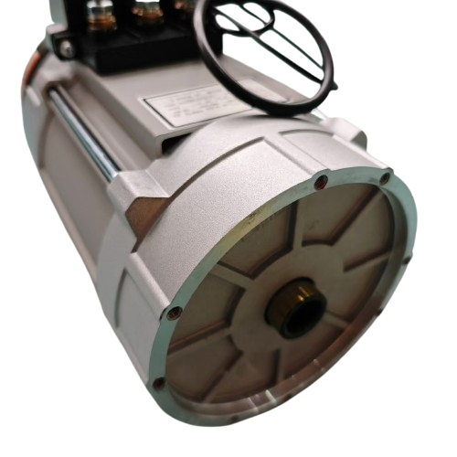 Carrinho de Golfe 48V 5kw Kit de Conversão Elétrica Aqh5-4103b-Xt Motor AC com Freio 19 Dentes