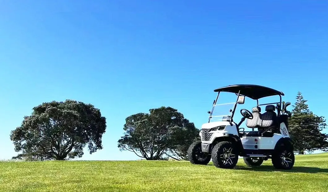 Carrinho de golfe vermelho a gasolina 300cc