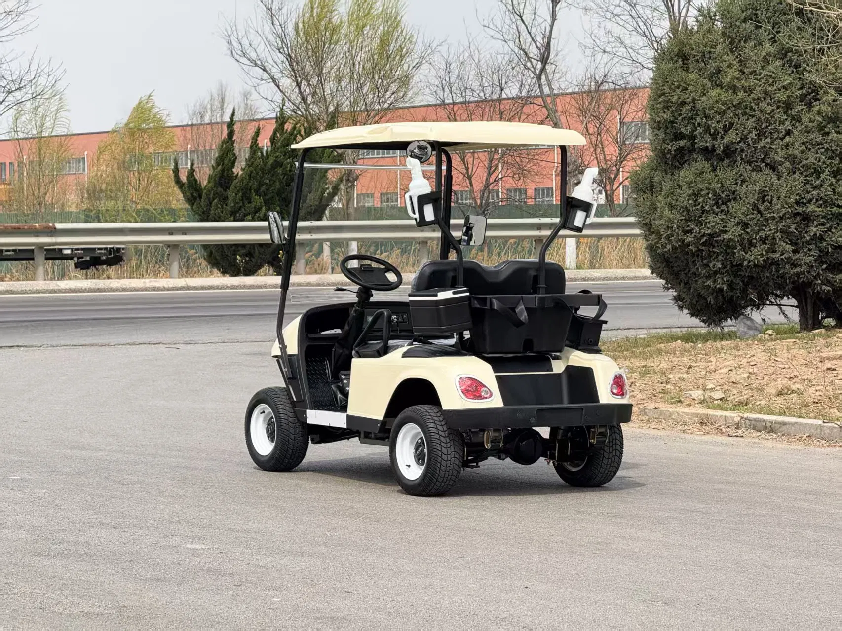 Carrinho de Golfe Frontal