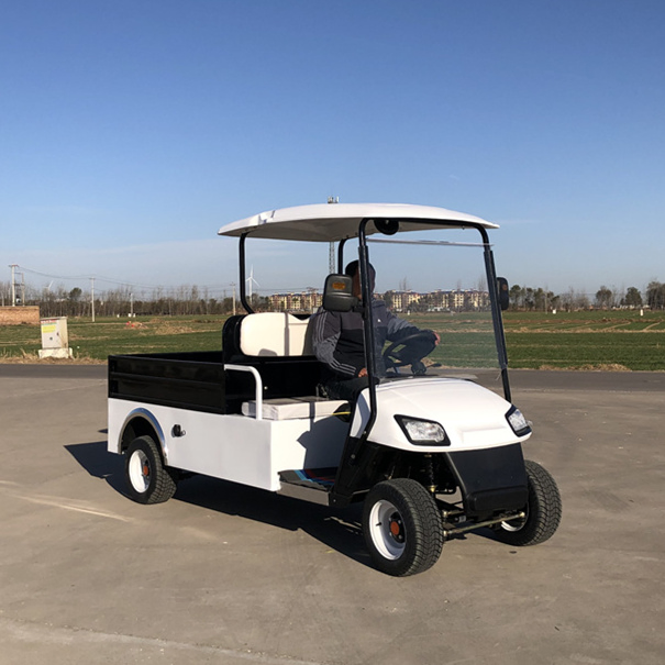 150cc 2 Carrinho de Golfe Utilitário a Gasolina Legal para Rua