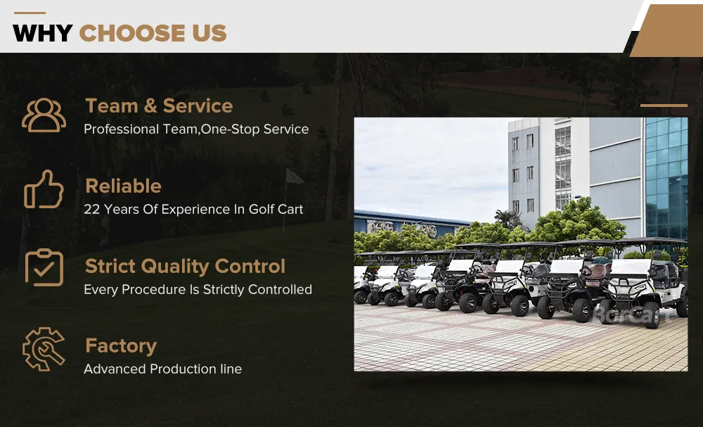 Carrinho de Golfe Elétrico