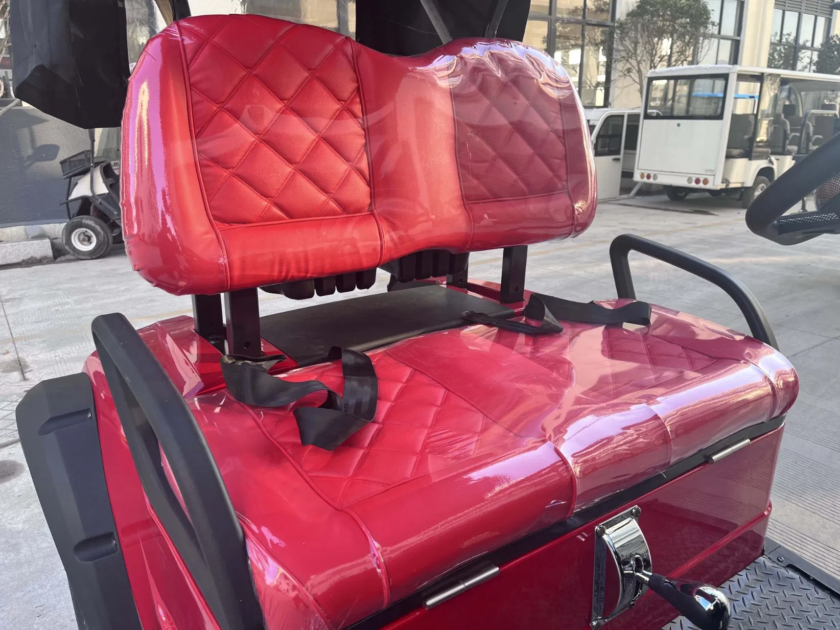 Preço Mais Baixo 2 Assentos Vermelho 300cc Carrinhos de Golfe Elevados a Gasolina Carrinhos de Golfe a Gasolina Suporte para Personalização