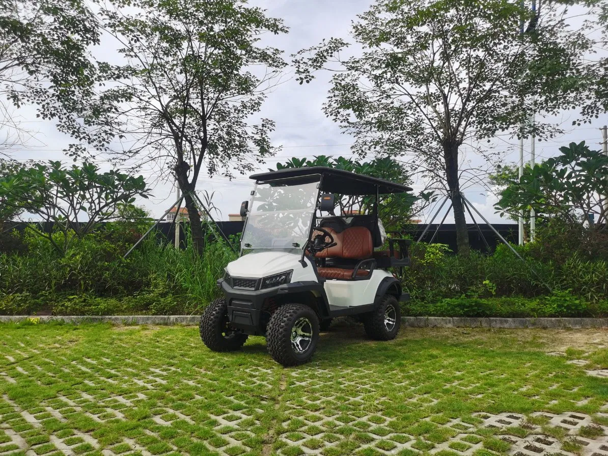 72V Carrinho de Golfe de Luxo Drive Carro Elétrico de Golfe 4 Veículo Utilitário