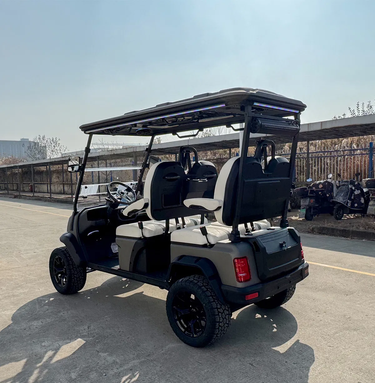 Detalhe do carrinho de golfe 4
