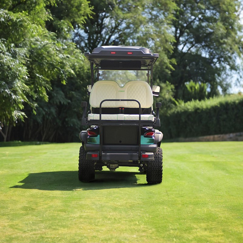 Veículo Elétrico Utilitário Direto de Fábrica para Campos de Golfe, Mini Veículo Elétrico com Uso Múltiplo, Buggy de Golfe