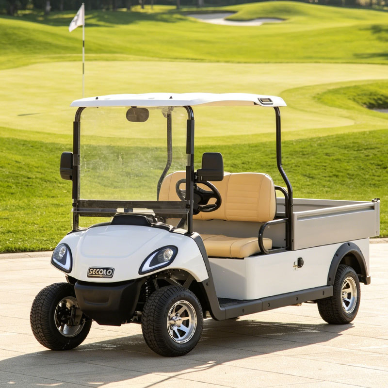 Novo Veículo Elétrico Utilitário com Caixa de Carga 48V 2-Seat Carrinho de Golfe