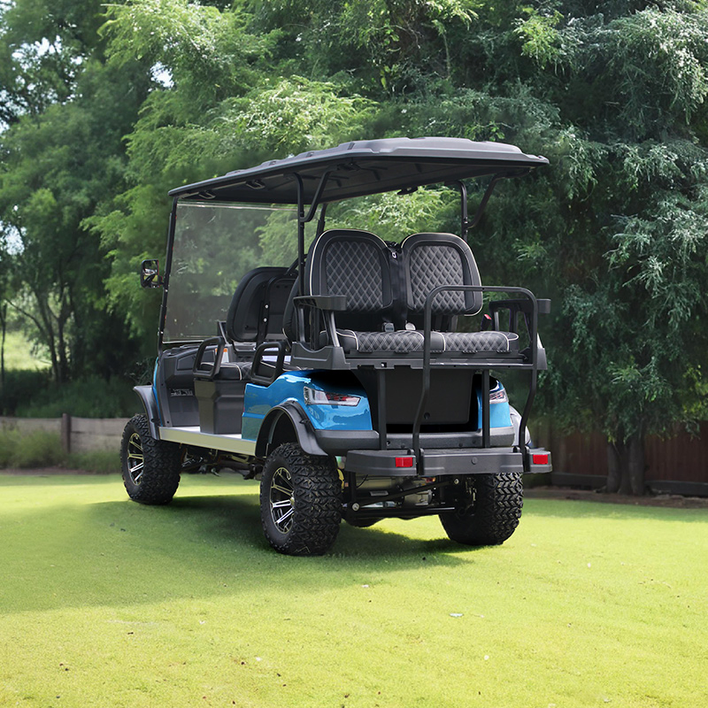 Carrinho de Golfe de Luxo para Uso em Campo e Rua com Aprovação do DOT
