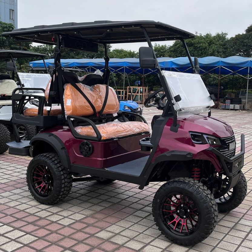 Carro de Golfe Carrinho de Golfe Elétrico Carrinho de Golfe com Certificado CE