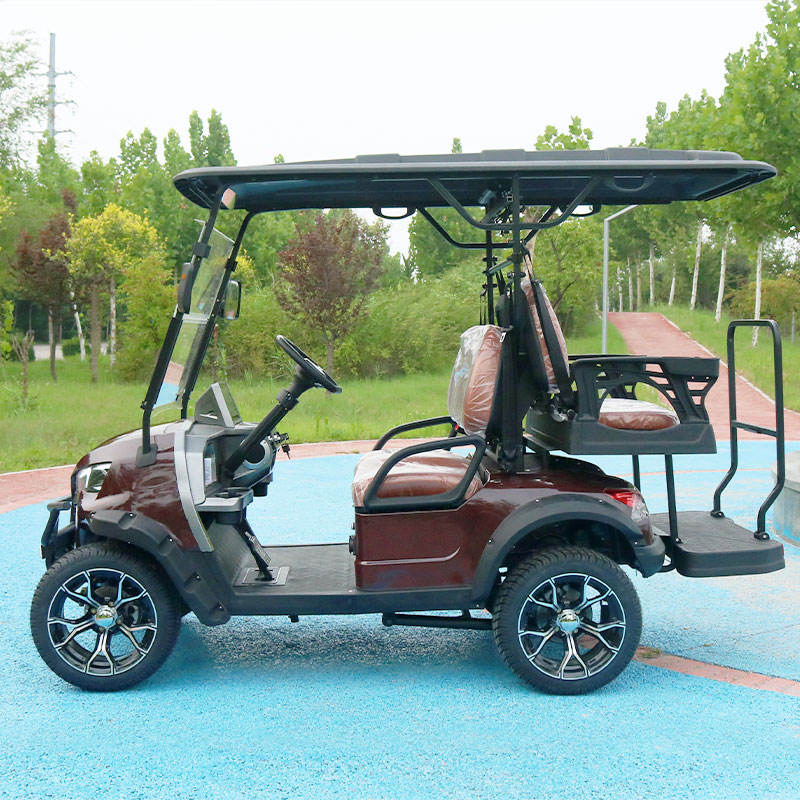 Padrão ANSI Veículo de Baixa Velocidade (LSV) Carrinho de Golfe Compliant Fmvss 500 para Uso em Vizinhança nos EUA