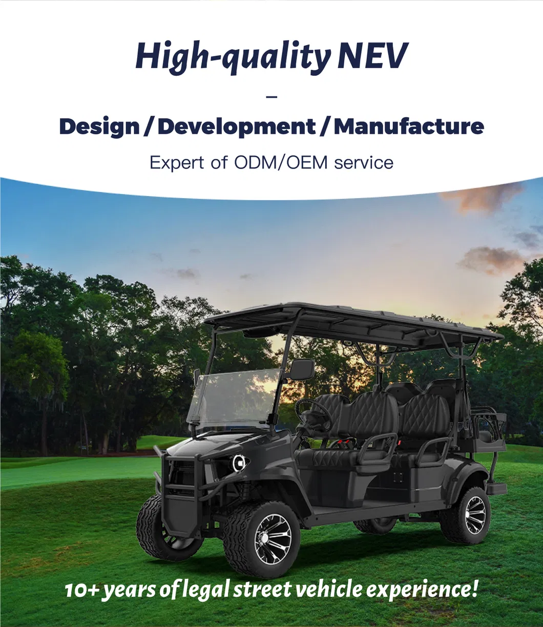Carrinho de Golfe Elétrico em Detalhes