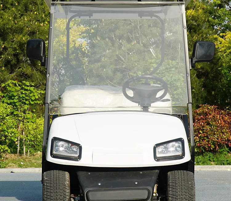 Detalhe do Carrinho de Golfe