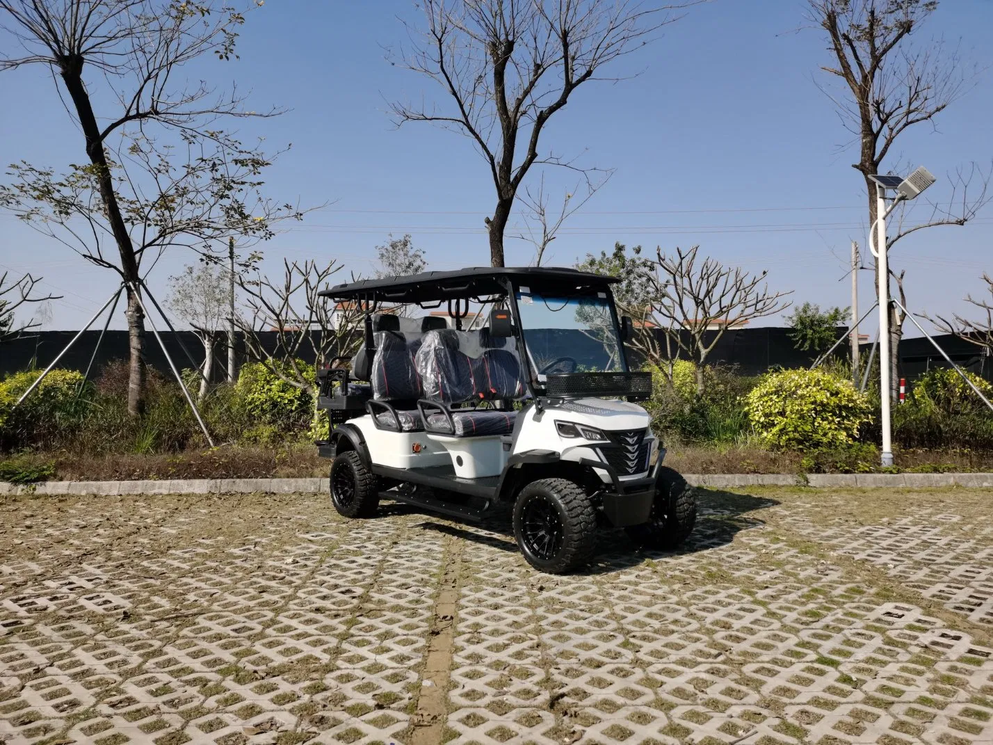 Veículo de Caça Buggy Golf Carro Elétrico Carrinho de Golfe Veículo Utilitário