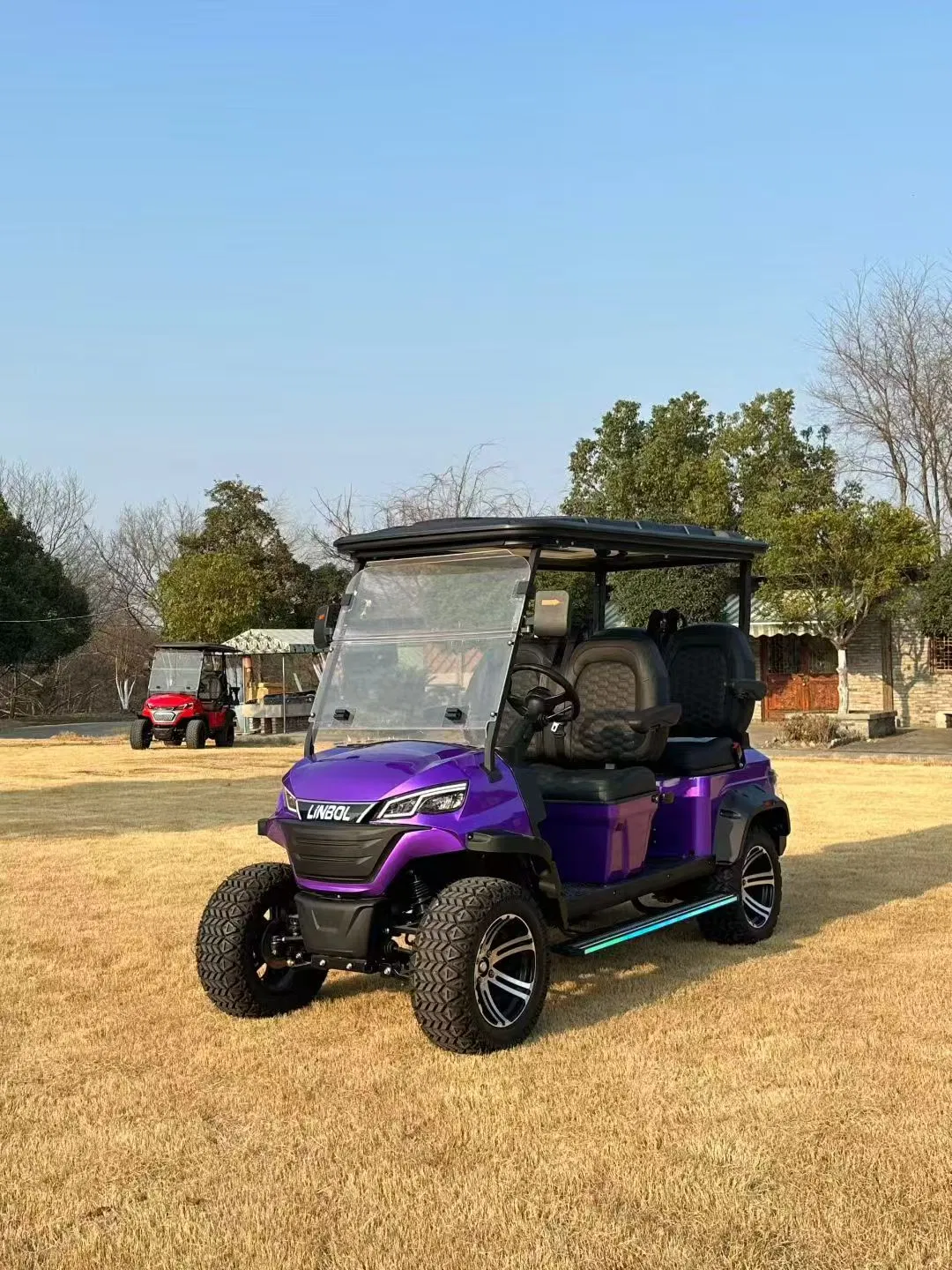 Carrinho de Golfe Elétrico Mini Chinês de Alto Desempenho 2/4/6/8 para Uso em Resort
