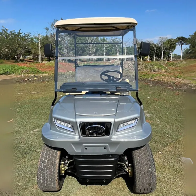 2025 Parison 2 Assentos Elétricos de Carro com Estrutura de Alumínio Carrinho de Golfe Elétrico Scooter de Golfe Off Road Carrinho de Golfe