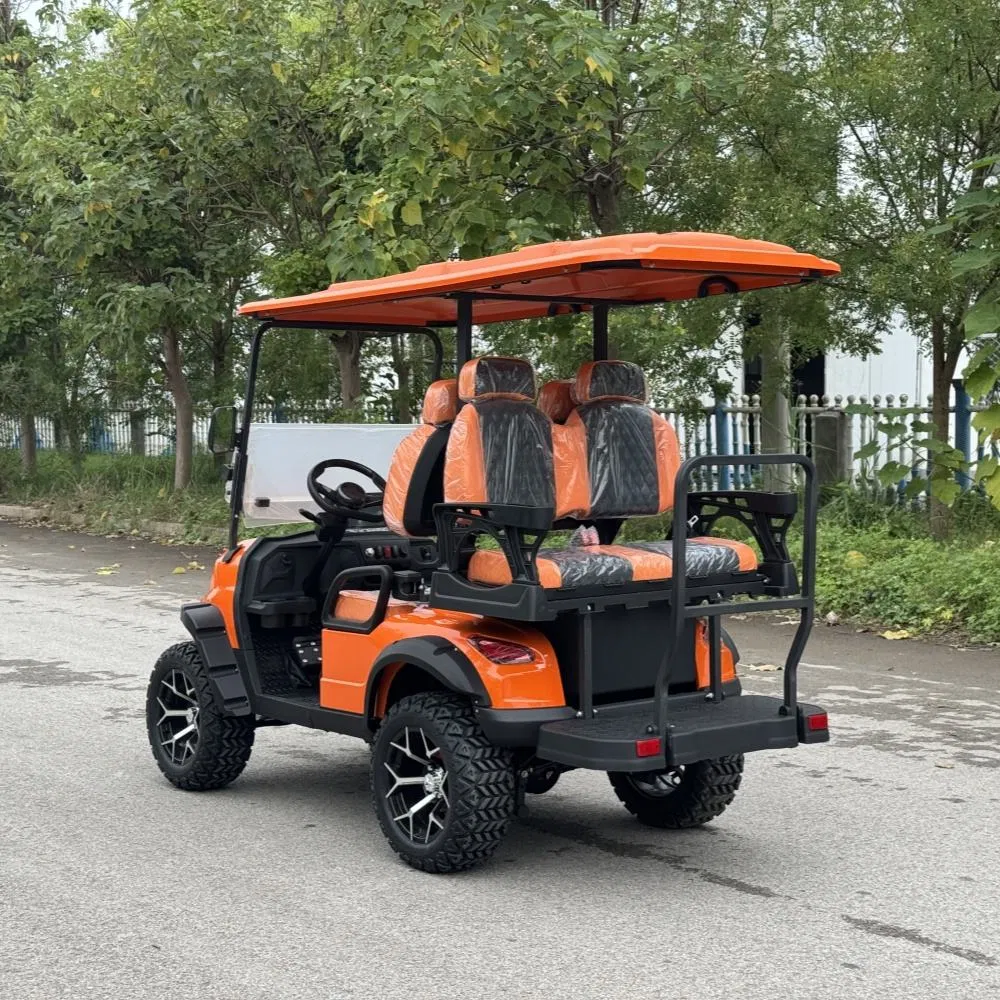 Fábrica de Carrinho de Golfe Elétrico OEM Direto, Cor Personalizada, Logotipo, Material do Assento e Acessórios