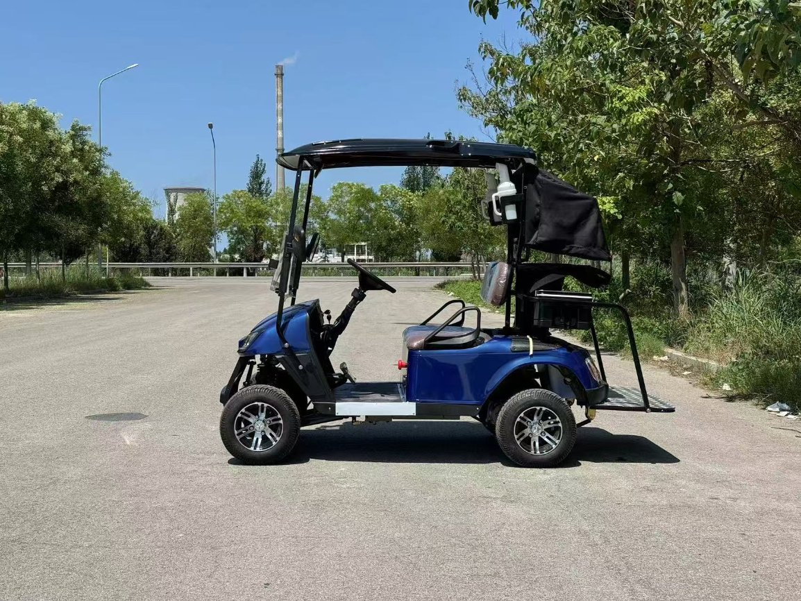 Melhor Preço Carrinho de Golfe para Uso Comercial em Aeroporto, Fábrica, Parque e Transporte de Vizinhança Atacado