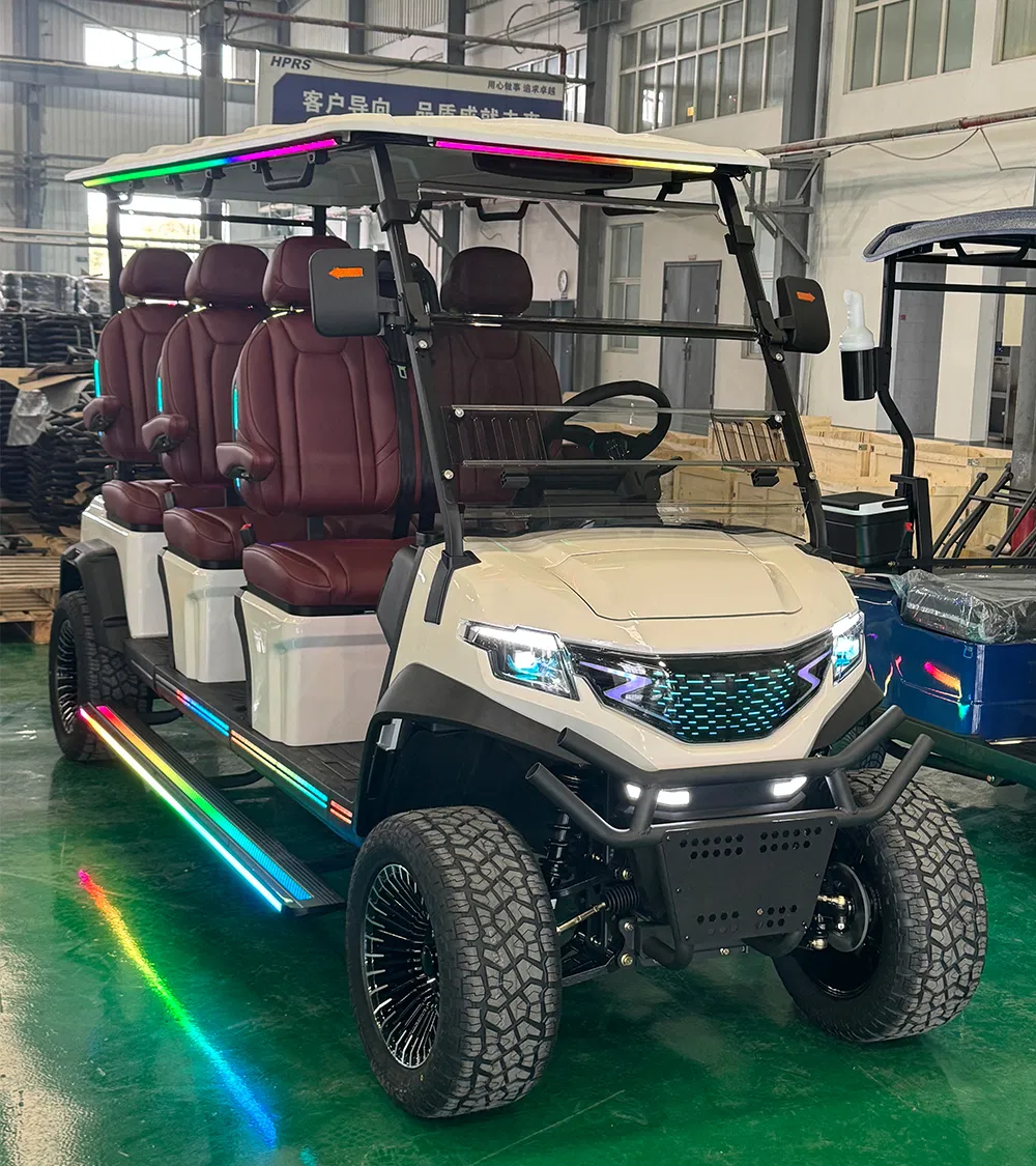 Detalhe do Carrinho de Golfe 4