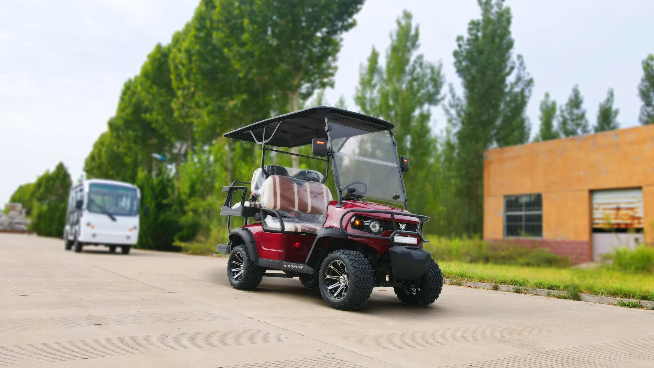 Carrinhos de Golfe Elétricos de Luxo para Clubes Off-Road de Alta Qualidade 2 4 6 Lugares
