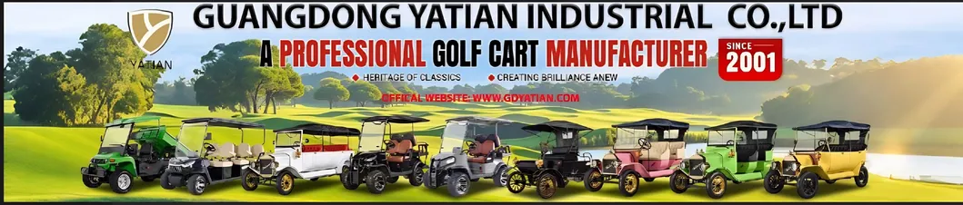 Carrinho de Golfe de Luxo Premium Modelo T para Mini Clubes