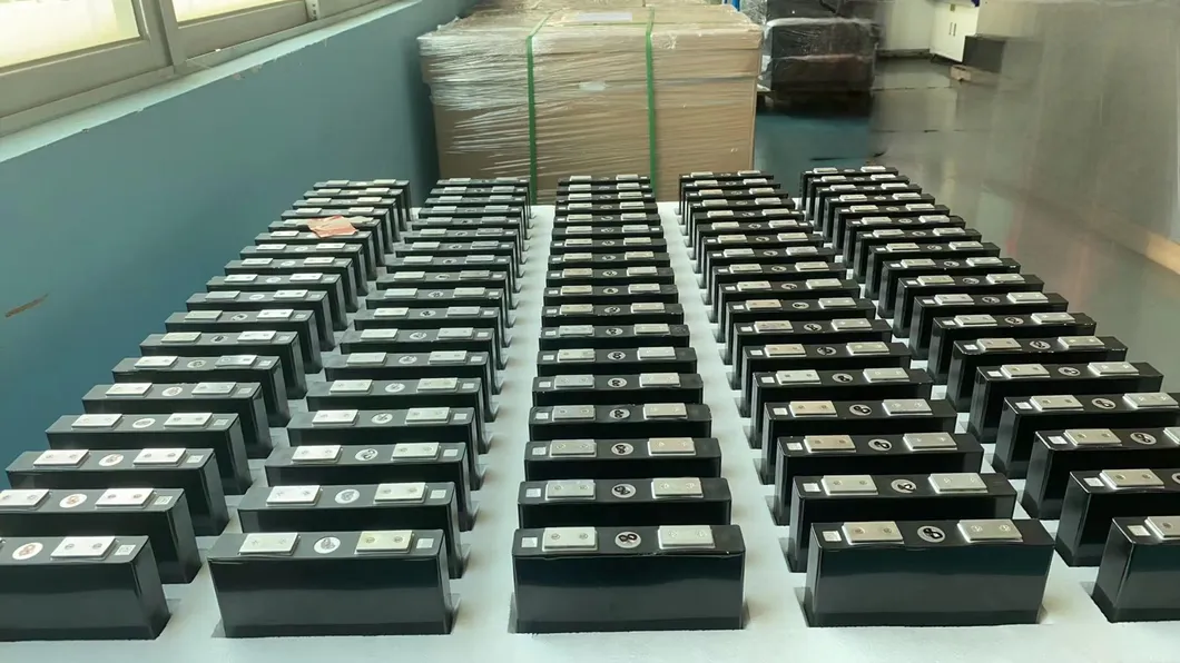 OEM LiFePO4 Pacote de Baterias de Íon de Lítio para Scooter, Bicicleta Elétrica, Bateria de Motocicleta Elétrica