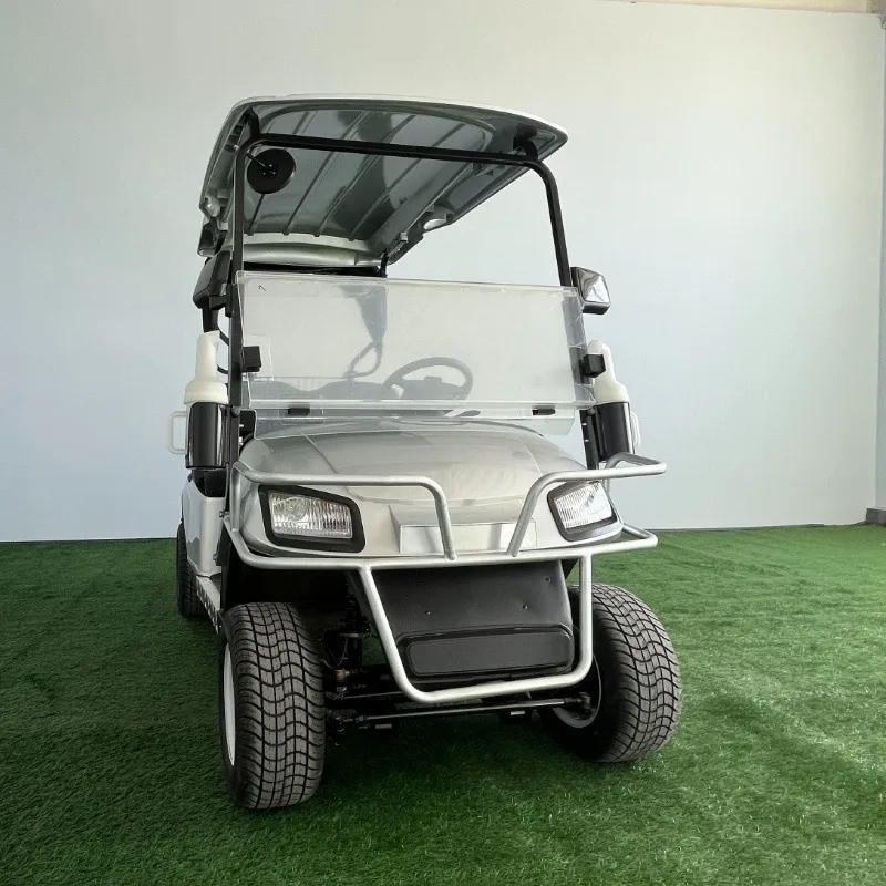Mini Bateria de Lítio 2 Assento Carrinhos de Golfe a Gasolina Movidos a Gás Elétricos