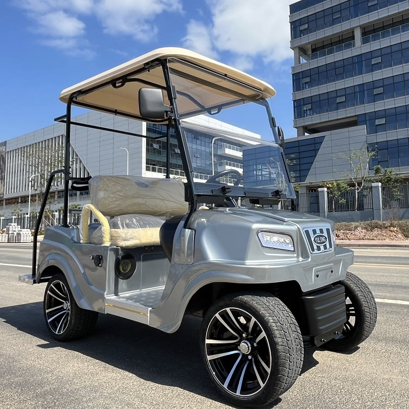 2025 Parison 2 Assentos Elétricos de Carro com Estrutura de Alumínio Carrinho de Golfe Elétrico Scooter de Golfe Off Road Carrinho de Golfe