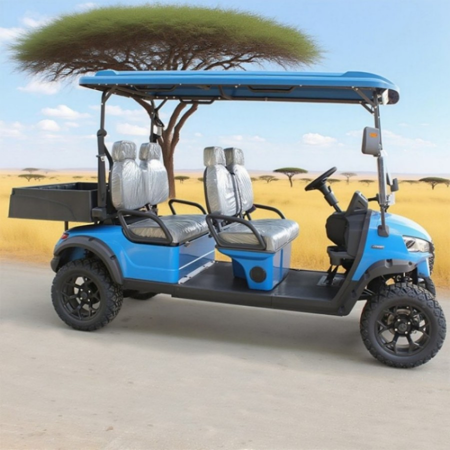 Venda por atacado 4 Carrinho de Golfe Elétrico com Tração Off-Road 6 Assento 2-Seater Carro Buggy com Acessórios para Carrinho de Golfe Preços Baixos