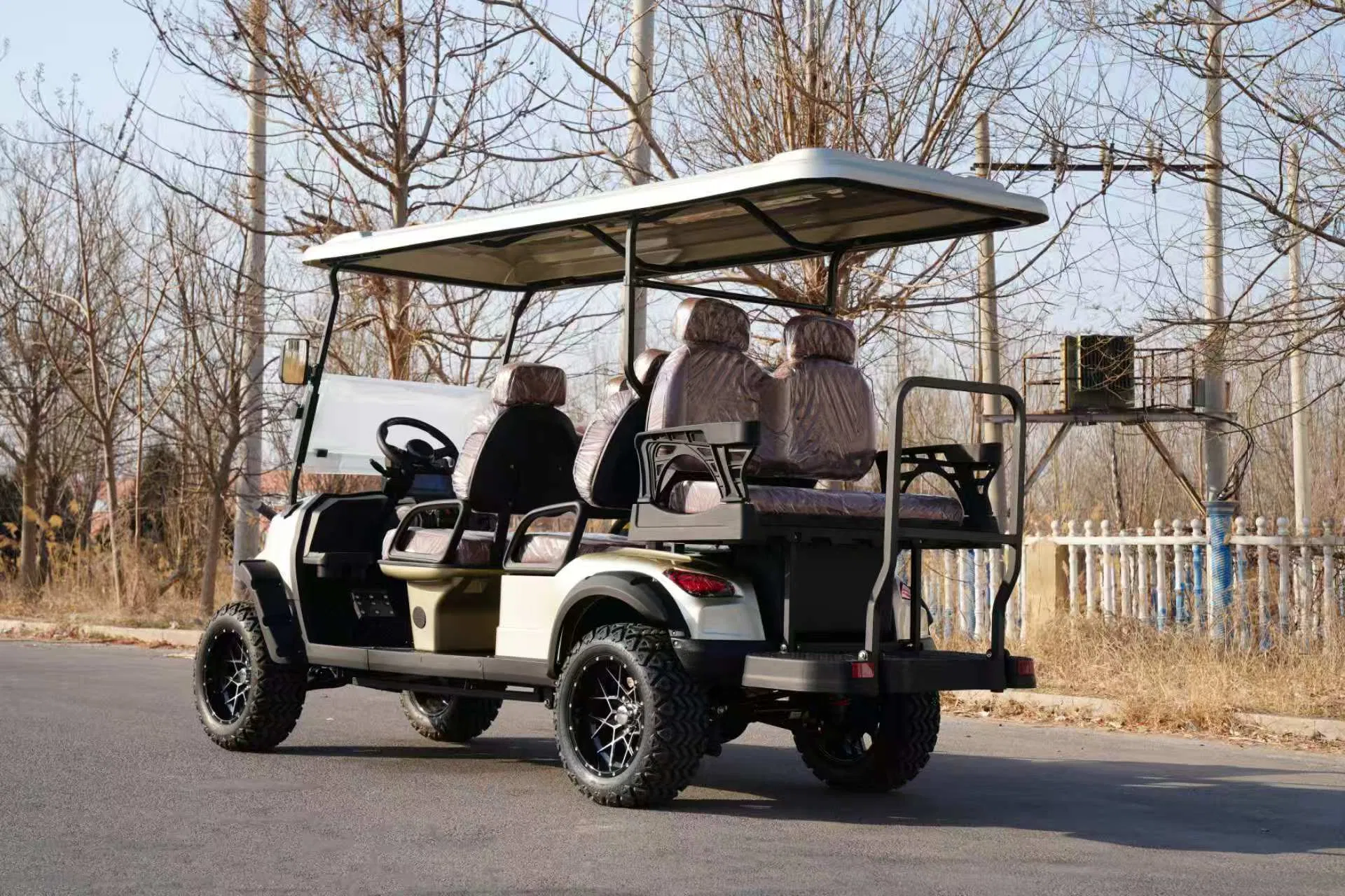 Fornecimento Direto de Fábrica Carro Elétrico de Golfe Personalizável Veículo Carrinho de Golfe Certificado CE