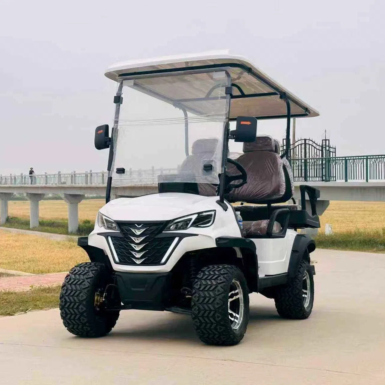 Street Legal Golf Cart Lsv Electric Golf Buggy with Turn Signals, Mirrors &amp; Seatbelts for Neighborhood Use