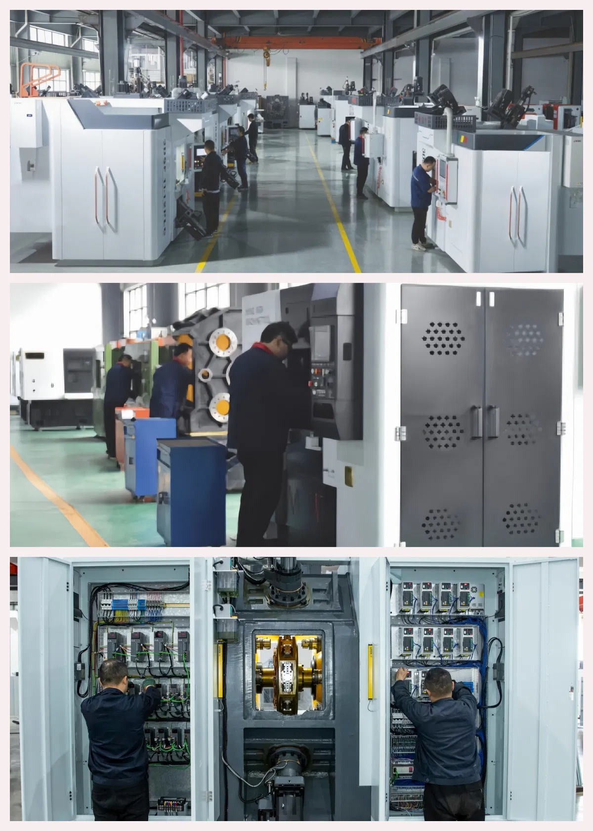 Advanced Stainless Steel Rotary Transfer System for PPR Manufacturing