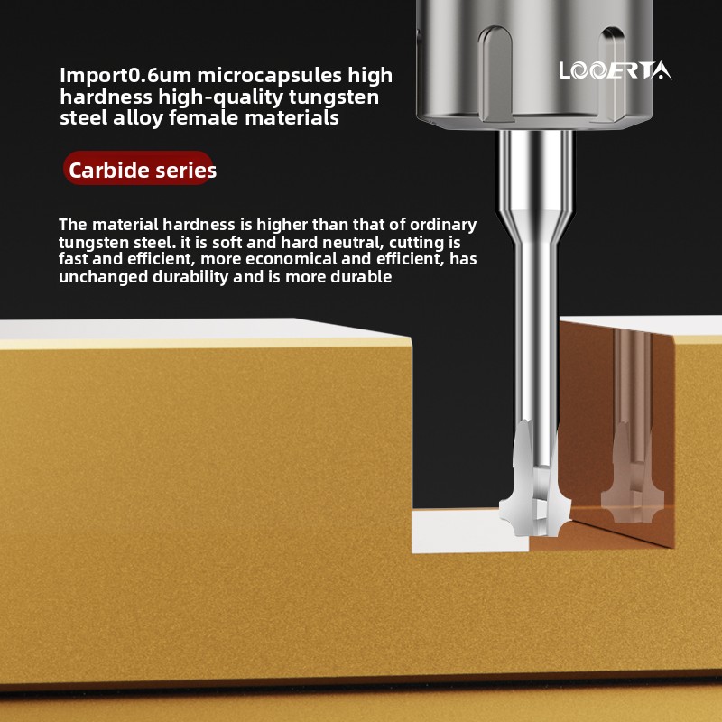 LOOERTA 60&deg; Double R Tungsten Carbide Milling Cutter Forward/Reverse R Angle for Steel &amp; Aluminum Alloy Coating CNC Customized