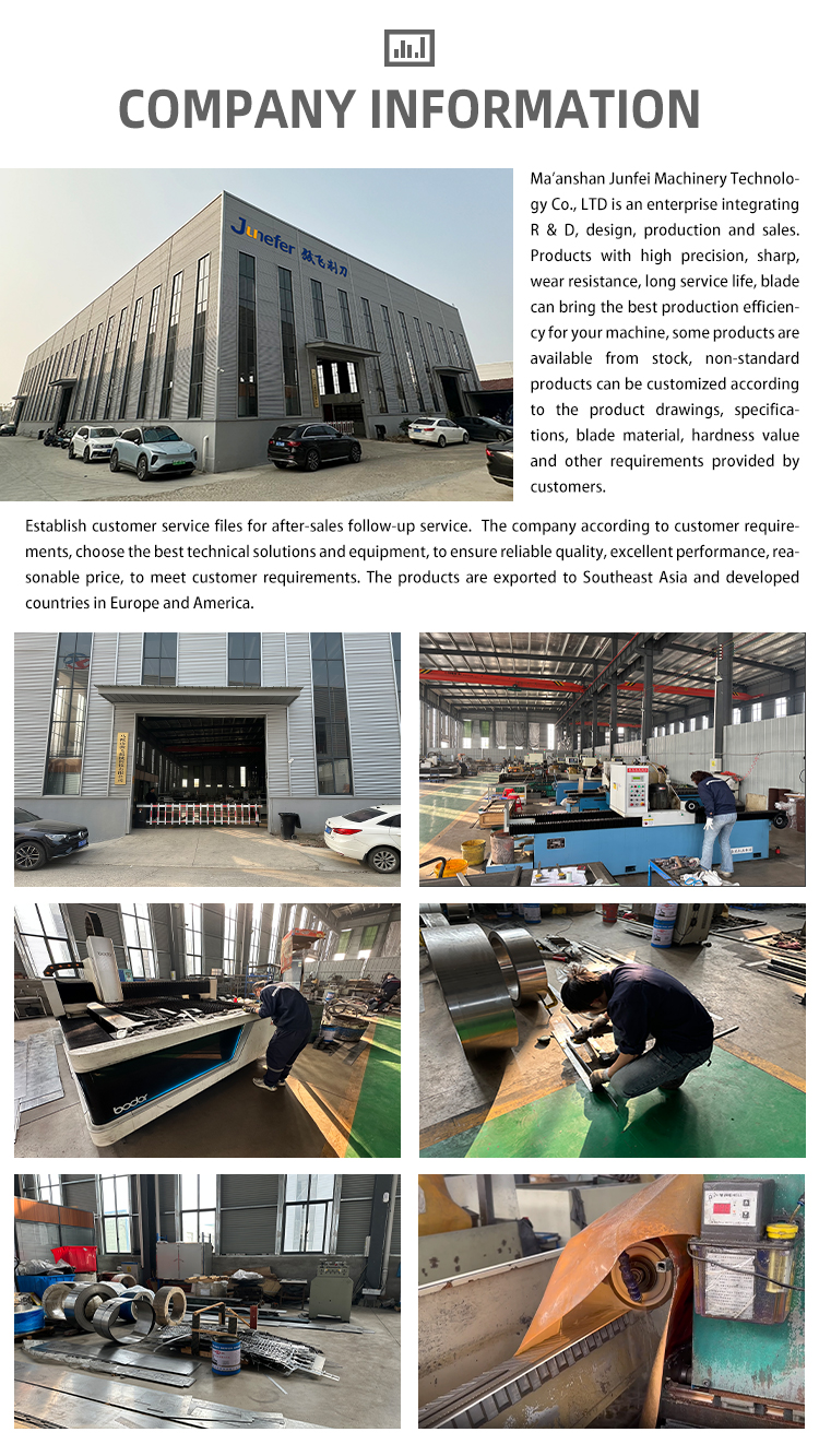 Company Profile View 1