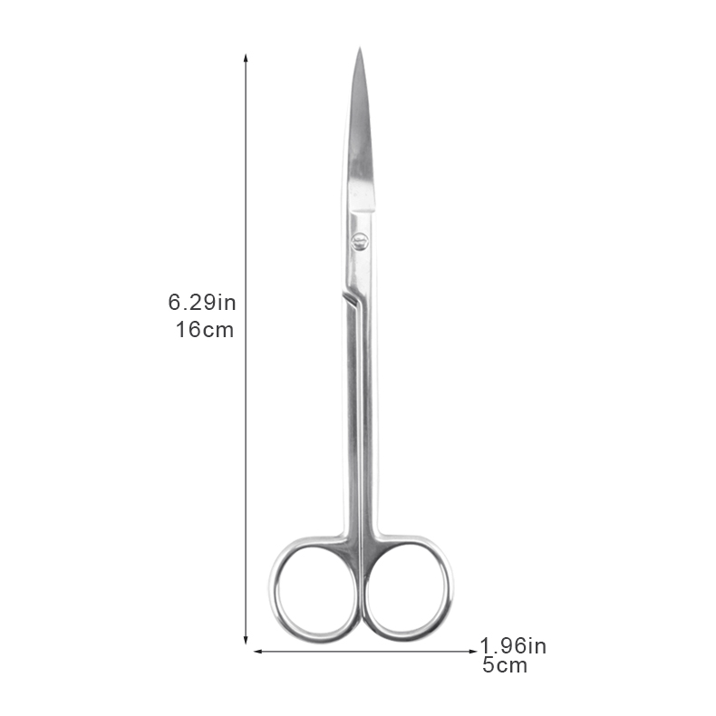 Microdissection Precision Laboratory Scissors High Polish Iris Micro Dissecting Lab Scissors