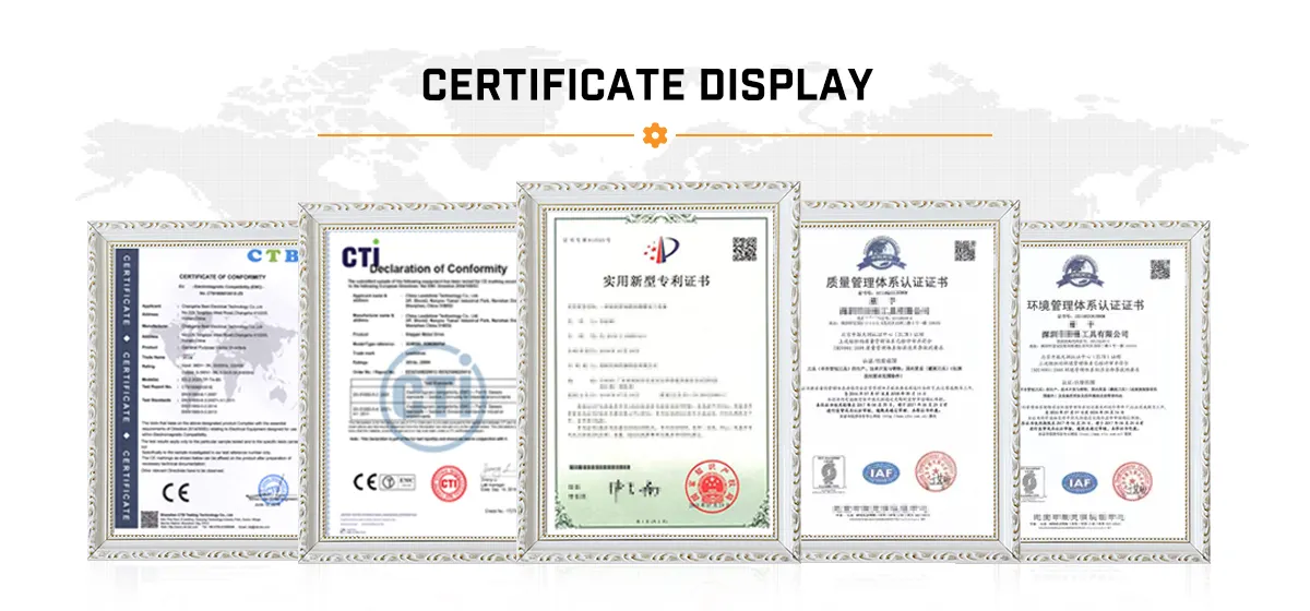 Exhibition Certificate