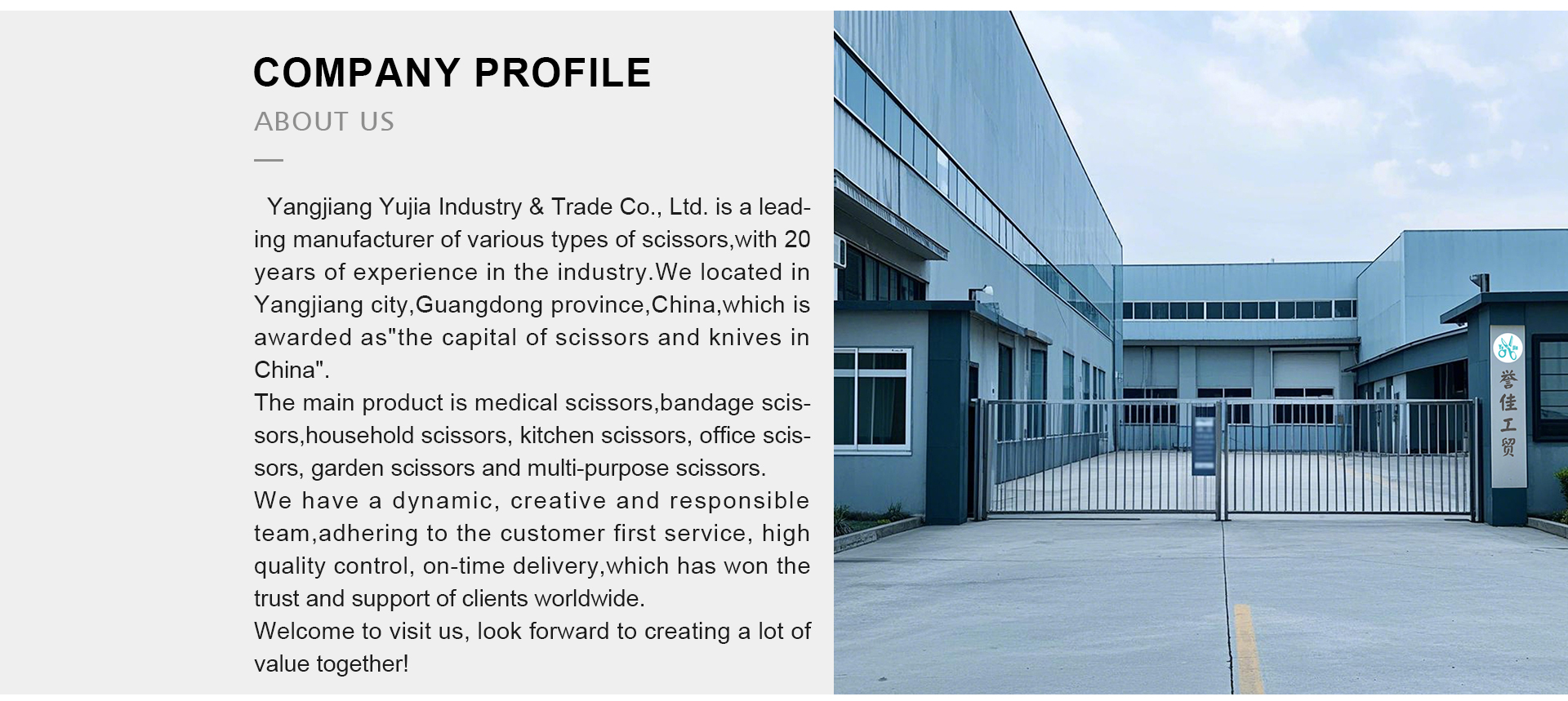 Factory Image 1