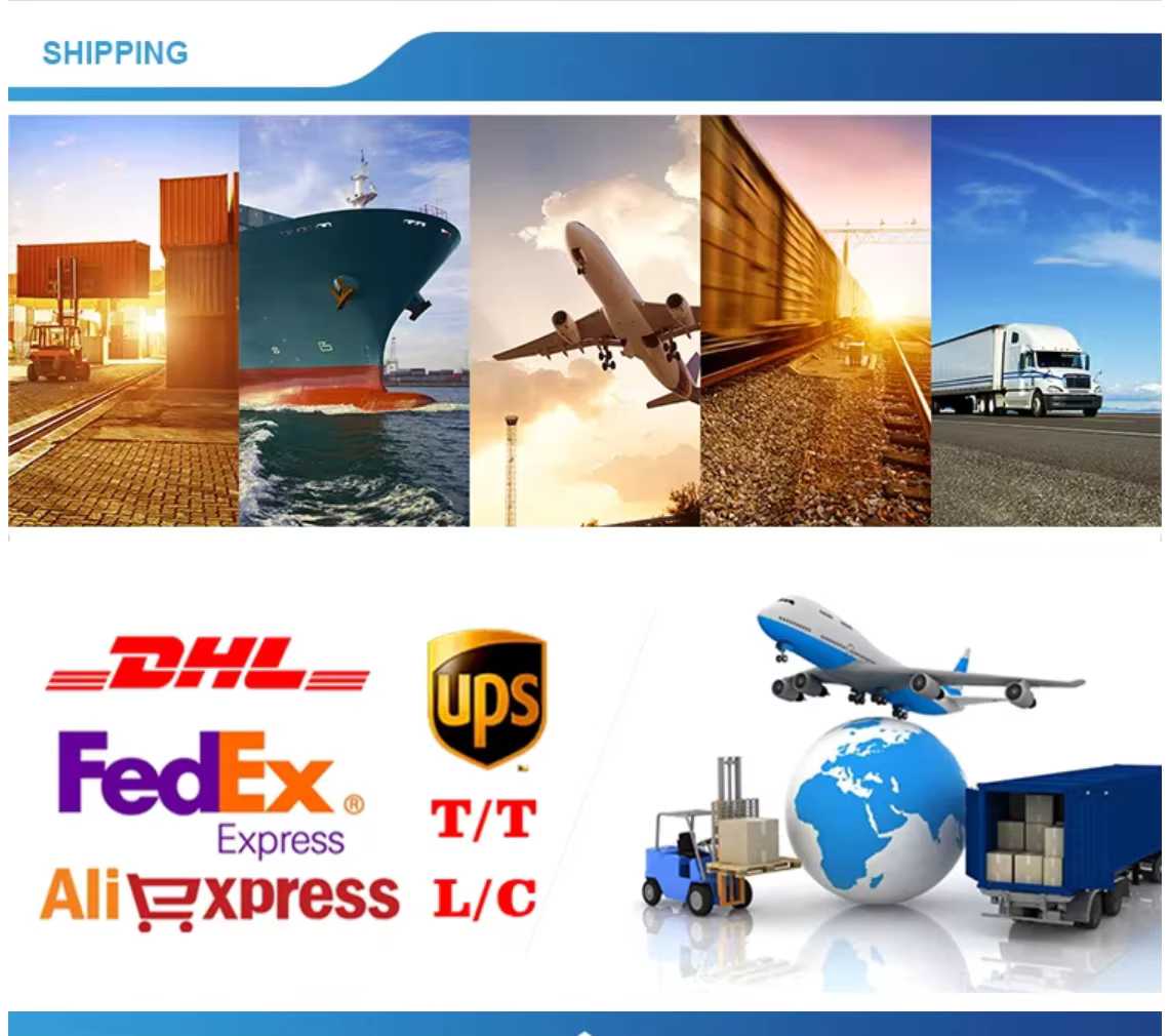 Shipping Logistics