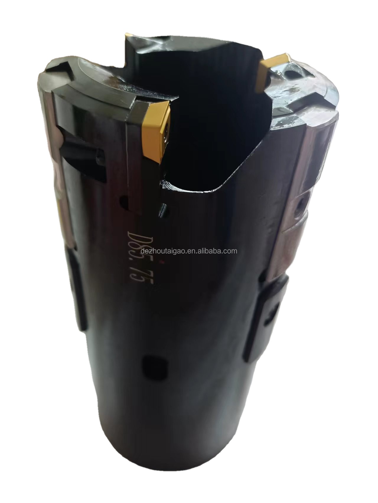 High Quality Trepanning Tools Deep Hole Drill Head with Inserts and Guide Pads Manufacturer