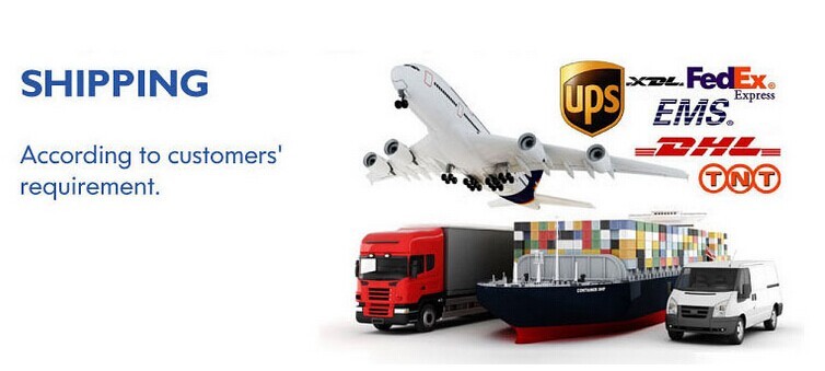 Shipping Options