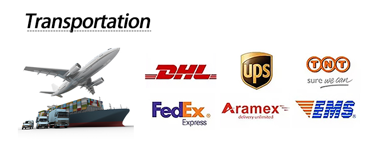 Global Logistics Partners