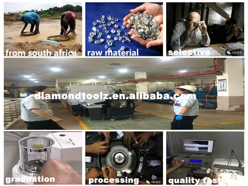 Production Line View