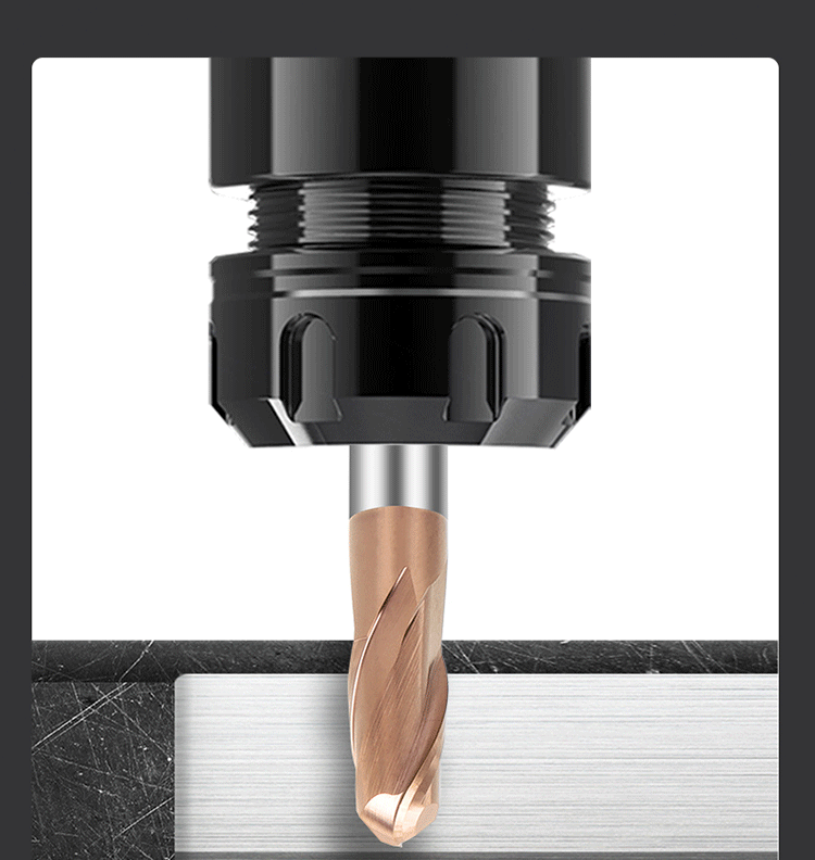 Product Detail 5