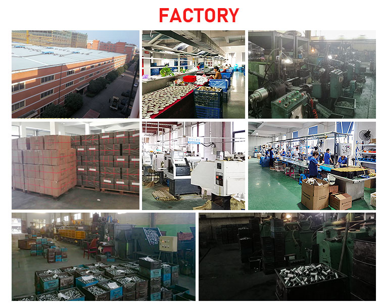 Testing Process