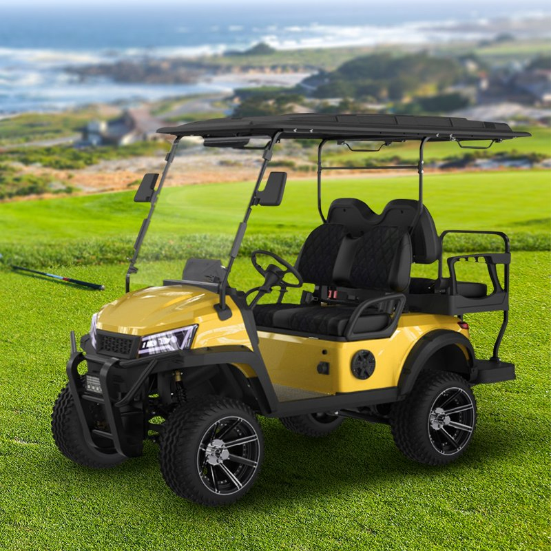 Luxury Electric-Golf Utility Vehicle Hunting-Buggy-Club Car Street-Legal-4seater-Lsv-Offroad-Electric Golf Cart with DOT CE
