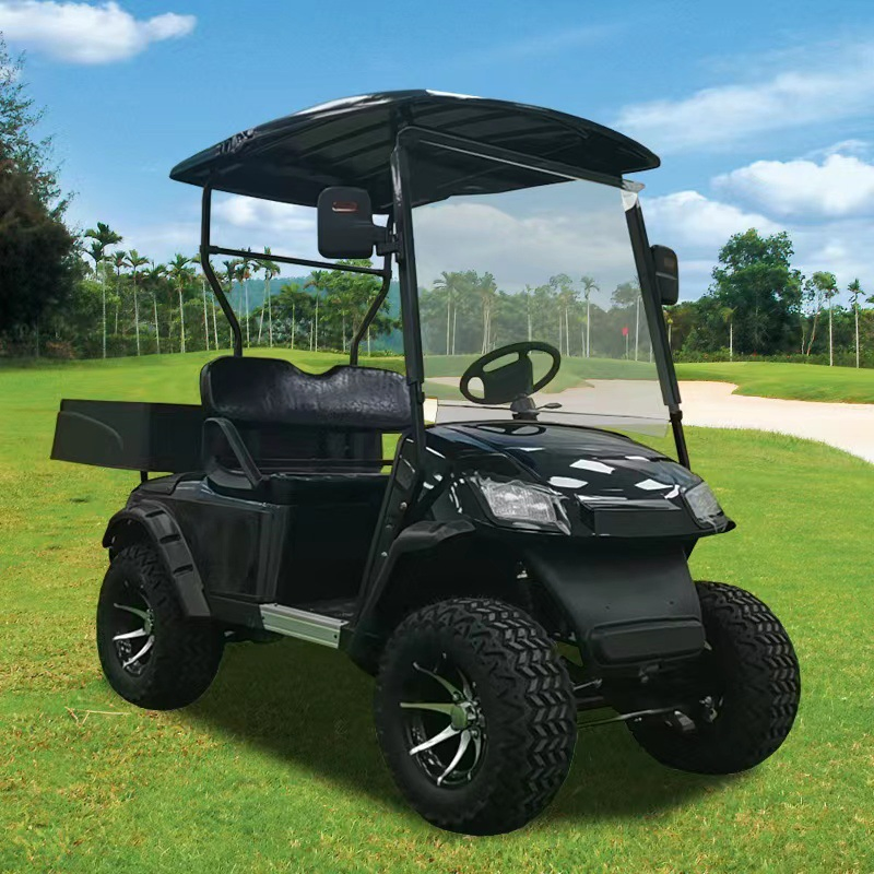 Electric 4 Rear Seater Club Gas Powered Carts Motor for with Kit Volt Car 1 Person Mini Free Shipping 10 Passenger EU Golf Cart