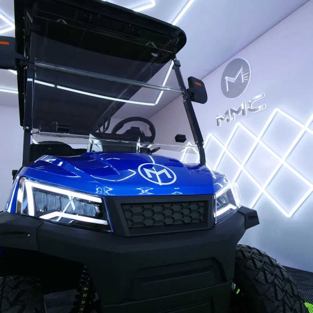 Electric Golf Car 2 4 6 Seater Street Legal 4X4 Luxury Golf Cart with Rechargeable 48V Lithium Battery Accept ODM OEM Custom