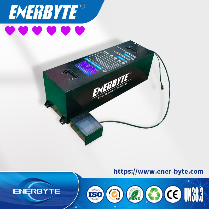 Enby 4992wh Golf Cart Batteries Electric Sightseeing Car 4seater 6seater Batteries Low Speed Electric Vehicles Batteries with SGS