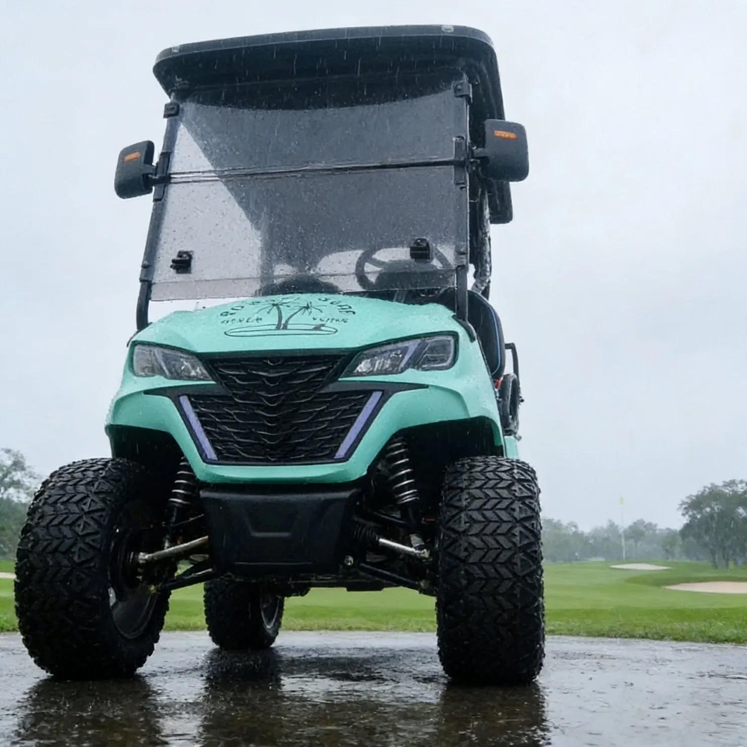 Luxury 4 Passenger Electric Golf Cart for Club &amp; VIP Transportation