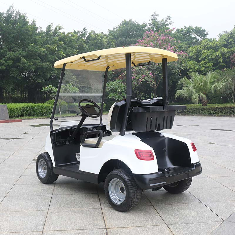 Guangdong Marshell Electric Golf Carts CE Approved Buggy New Model for Sale (DG-M2)