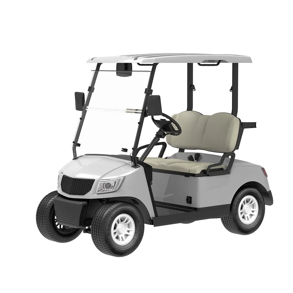 Electric Golf Cart DG-M2